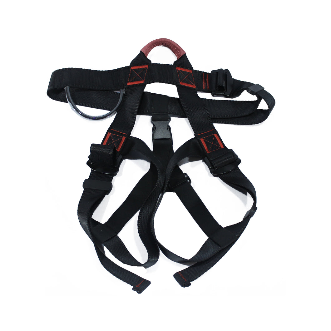 Lower Body Harness